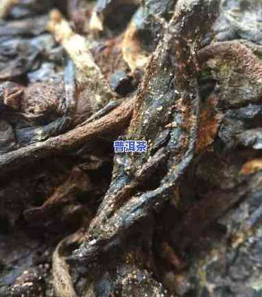 普洱茶金花吗为什么，探秘普洱茶的金花现象：它真的出来吗？为什么？