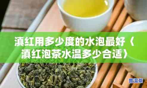 滇红茶的冲泡温度是多少度？