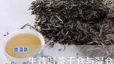 干仓与湿仓普洱生茶的区别，深度解析：干仓与湿仓普洱生茶的显著区别