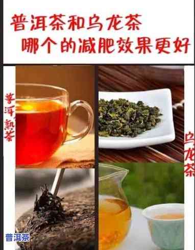 乌龙茶与普洱茶减肥吗哪个好一点，乌龙茶 vs 普洱茶：哪种更有效的减肥选择？