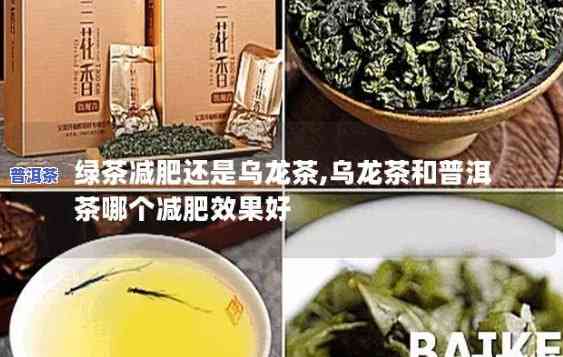 乌龙茶与普洱茶减肥吗哪个好-乌龙茶与普洱茶减肥吗哪个好一点