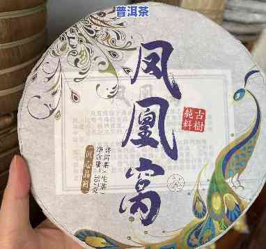 凤凰窝普洱生茶价格，探究凤凰窝普洱生茶的价格与品质