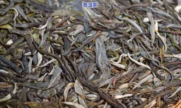 云南普洱茶饼保存方法和更佳年限是多少？