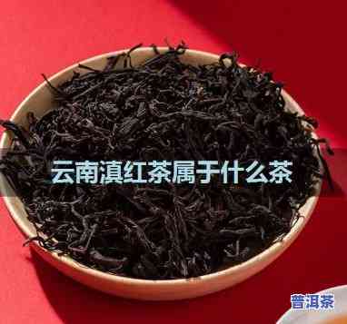 云南滇红茶属于红茶吗，探讨云南滇红茶的归属：它是不是属于红茶类别？