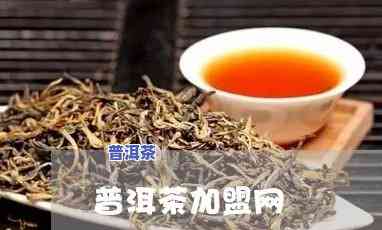 南宁高端普洱茶招商-南宁高端普洱茶招商电话