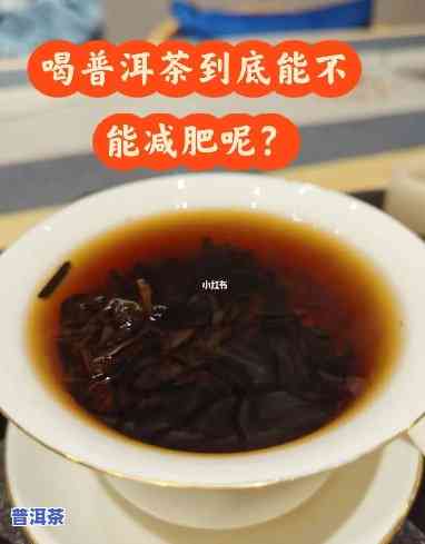 熟普洱茶：刮油减肥还是增肥？可以喝吗？