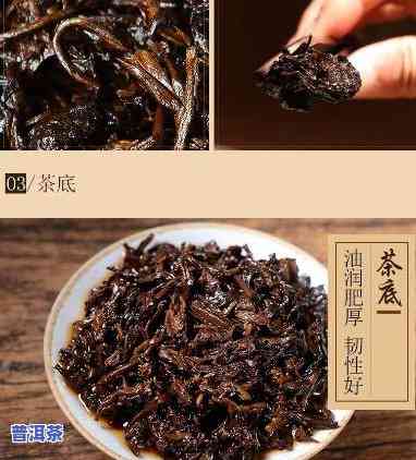 冰岛普洱茶300年树龄：究竟有多大？能否饮用？