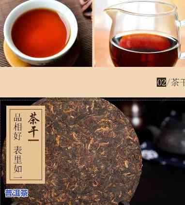 冰岛普洱茶300年树龄：值得品鉴的珍稀茶叶