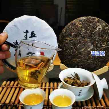 500年树龄冰岛普洱茶，探究千年古茶树：冰岛普洱茶的神秘历史与独特风味