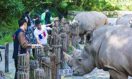 普洱一年四季的温度：恒定在18-22℃之间，宜人舒适