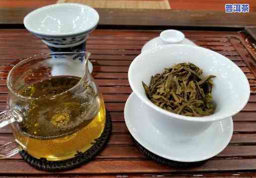 一年四季普洱茶图片-四季春普洱茶