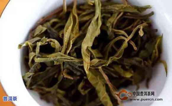 一年四季普洱茶图片-四季春普洱茶