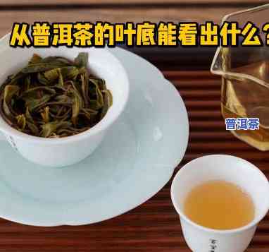 普洱茶叶底太绿：起因解析与应对措施