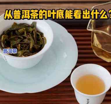 普洱茶绿茶普洱茶底-普洱茶叶底太绿怎么回事