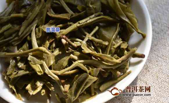 普洱茶绿茶普洱茶底-普洱茶叶底太绿怎么回事