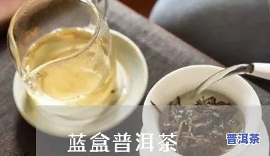 蓝铁普洱茶与蓝印普洱，探究蓝铁普洱茶与蓝印普洱的不同之处