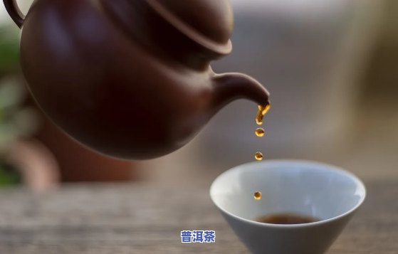 普洱茶直播视频教程，新手必看！普洱茶直播视频教程，轻松掌握茶叶知识和冲泡技巧