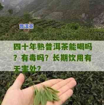 四年前普洱茶能喝吗-四年前普洱茶能喝吗有吗