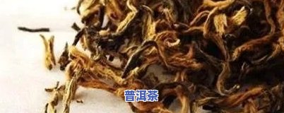 易武普洱茶十大排名-易武普洱茶排名