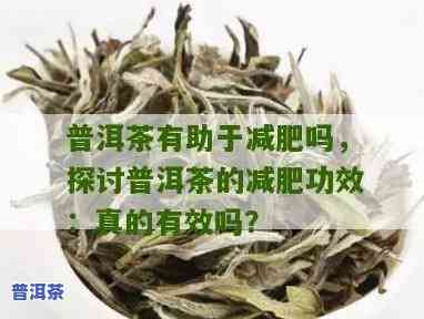 普洱茶有助减肥吗？探究其科学依据与实际效果