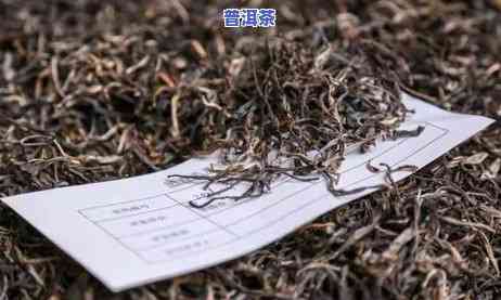 普洱茶叶市场价毛茶-普洱茶叶市场价毛茶多少一斤