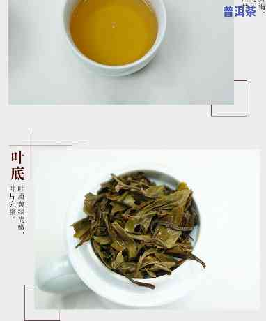 鸣泉普洱茶：生茶紧压茶价格及介绍，熟悉鸣泉茶叶