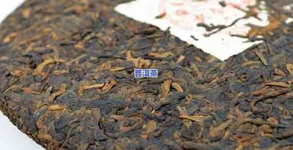 普洱茶和绿茶哪个的价钱贵一点-普洱茶和绿茶哪个的价钱贵一点呢