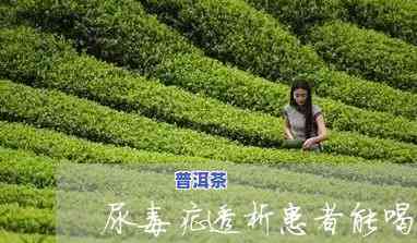 尿症透析女性：可以喝茶叶茶吗？