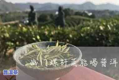 得了幽门螺杆菌的女性可以喝普洱茶吗？