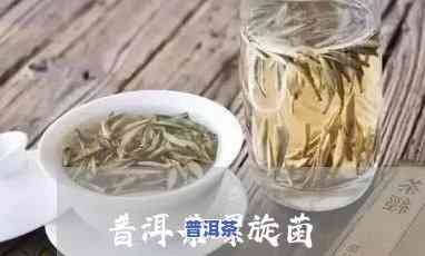 幽门螺旋杆菌感染者能否饮用普洱茶？女性患者适用吗？