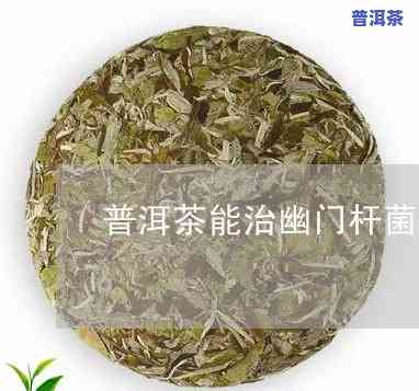 得了幽门螺杆菌可以喝普洱茶吗-得了幽门螺杆菌可以喝普洱茶吗女性