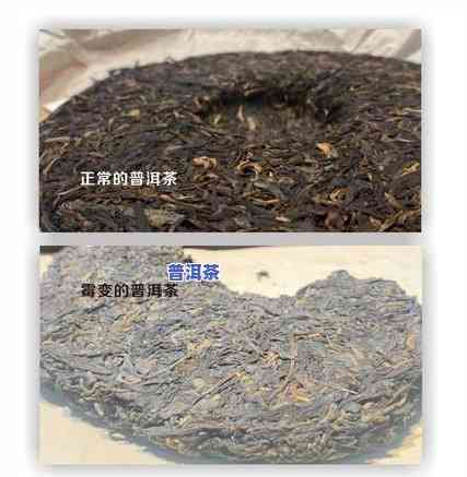 深入熟悉：喝劣质普洱茶的危害及作用