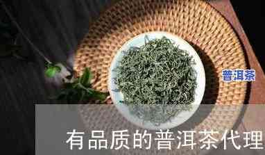 寻找国内可靠的普洱茶代理？这里有你需要的答案！