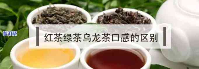 绿茶红茶乌龙茶普洱茶的区别，解密四种常见茶叶：绿茶、红茶、乌龙茶与普洱茶的差别