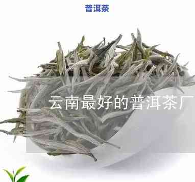 云南省沧源佤族自治县产普洱茶-云南沧源更好的茶厂