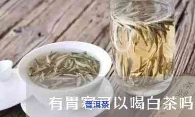 脾胃虚寒普洱茶和白茶哪个适合-脾胃虚寒普洱茶和白茶哪个适合喝