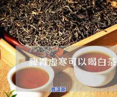 脾胃虚寒普洱茶和白茶哪个适合-脾胃虚寒普洱茶和白茶哪个适合喝