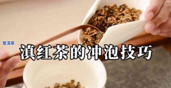 云南滇红泡茶水温：更佳冲泡温度与方法解析