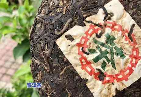 中茶大红印普洱茶怎样鉴别真伪-中茶大红印普洱茶的价格