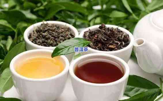 红茶与普洱茶：哪种更益健康？