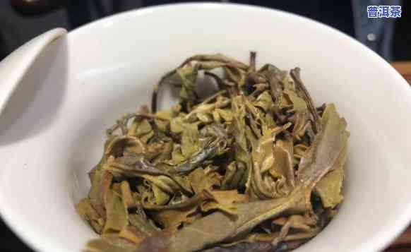 千山一叶大益普洱茶，品味千山一叶：探索大益普洱茶的特别魅力