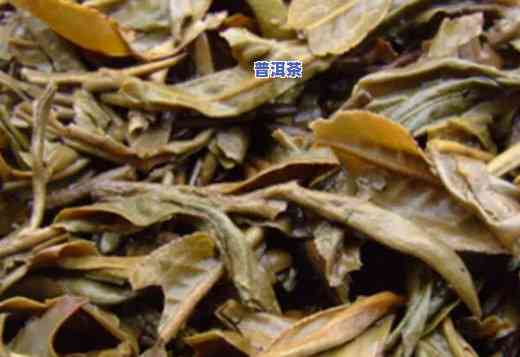 普洱茶叶底，揭秘普洱茶的美味秘密：探索茶叶底的特别风味