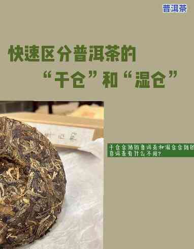 什么叫干仓和湿仓的普洱茶区别-什么叫干仓和湿仓的普洱茶区别在哪