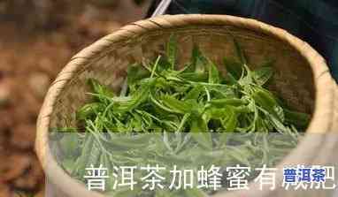 普洱茶加蜂蜜能减肥吗百科-普洱茶加蜂蜜能减肥吗百科图片