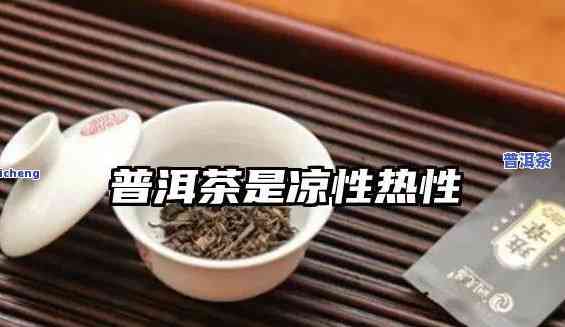 普洱茶是温性还是凉性？求解！