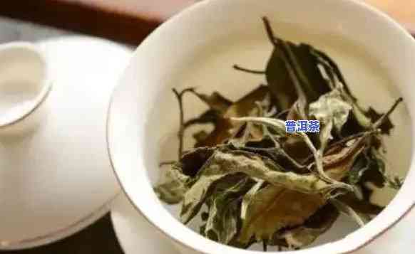 白茶与普洱茶：哪个更适合女性饮用？