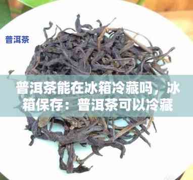 普洱茶发冰箱没味道-普洱茶发冰箱没味道怎么回事