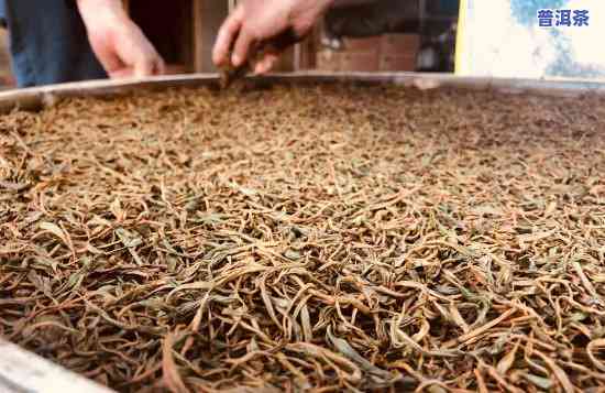 滇红茶工艺制作流程视频，探秘滇红茶的制作过程：一杯好茶背后的故事