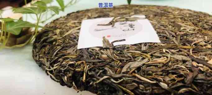 无量山普洱茶生茶的简介，探秘无量山：普洱茶生茶的特别魅力与简介