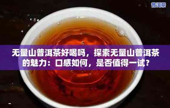 无量山普洱茶生茶的简介，探秘无量山：普洱茶生茶的特别魅力与简介